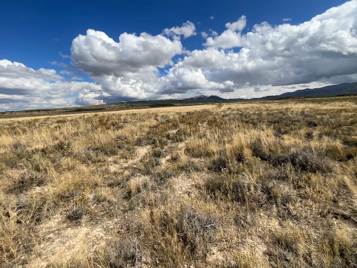 Decorative background for 10 Acres in Elko County, NV image 6