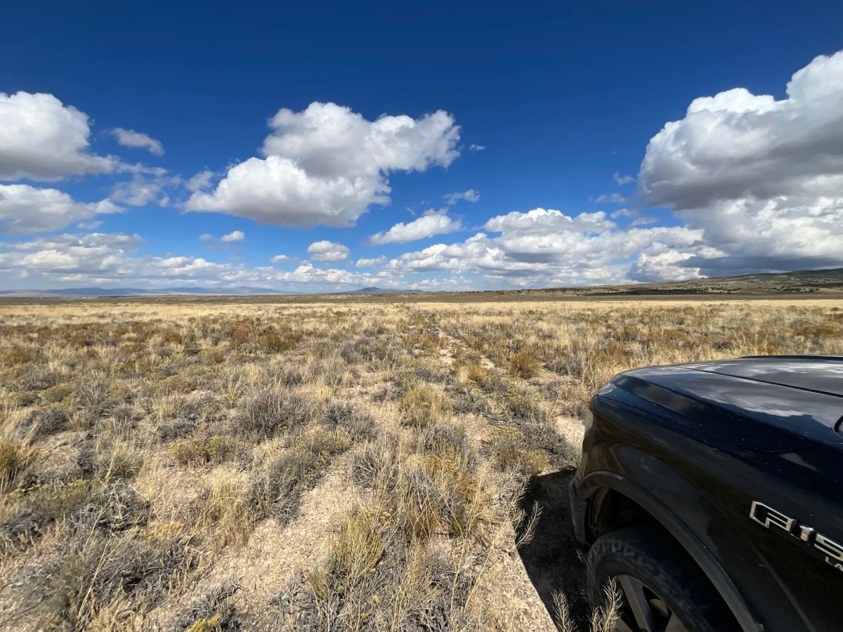 Decorative background for 10 Acres in Elko County, NV image 8