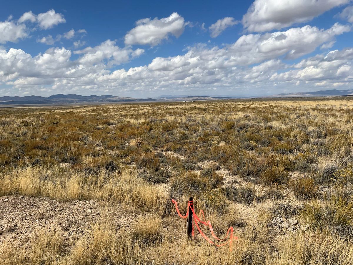 Decorative background for 10 Acres in Elko County, NV image 10