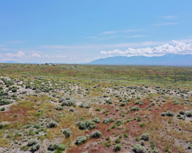 40 Acres in Elko County, NV in Elko County, NV