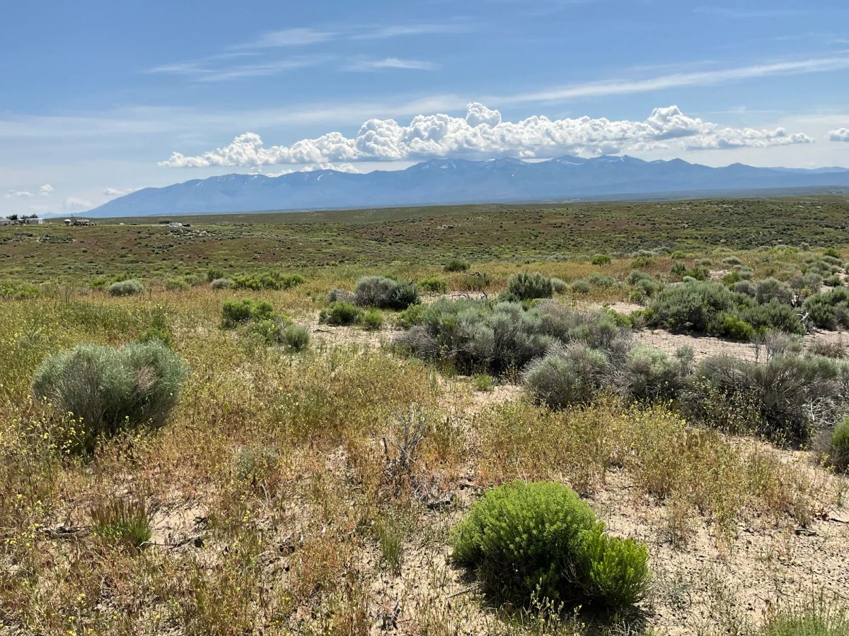 40 Acres in Elko County, NV - Image 2