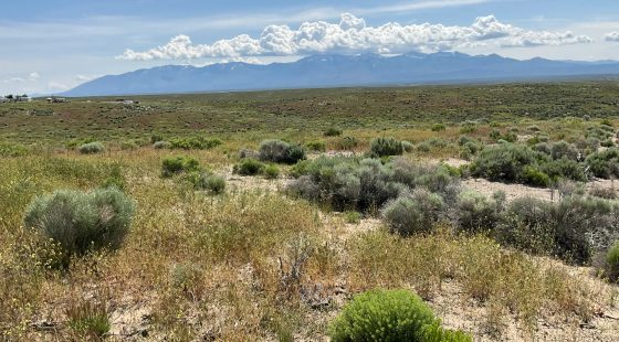 40 Acres in Elko County, NV in Elko County, NV