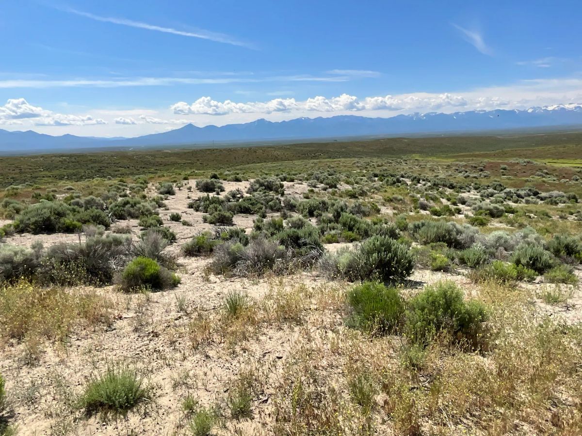 40 Acres in Elko County, NV - Image 3