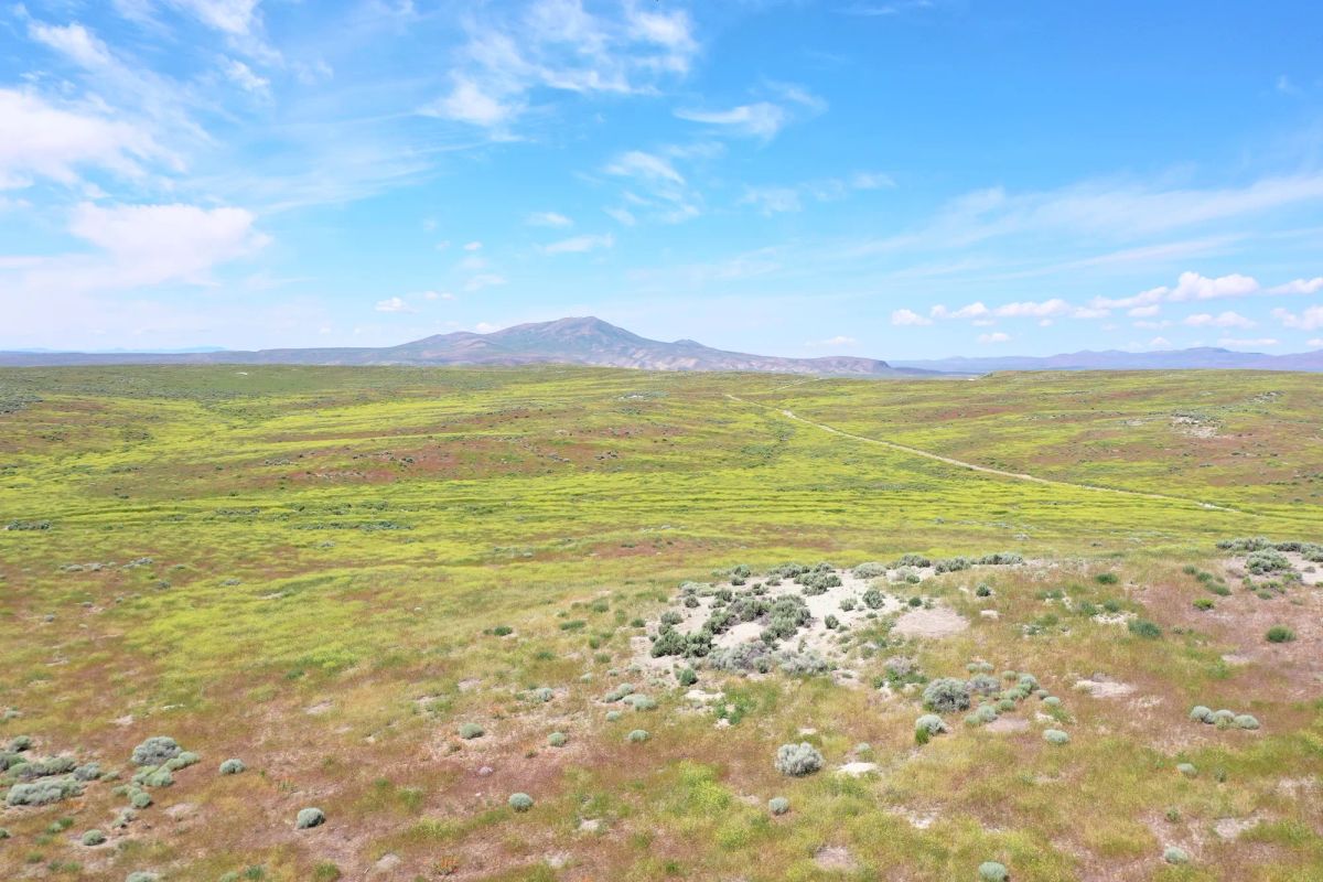 Decorative background for 40 Acres in Elko County, NV image 5
