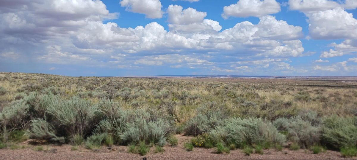 1.25 Acres in Apache County, AZ - Main image