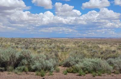 1.25 Acres in Apache County, AZ