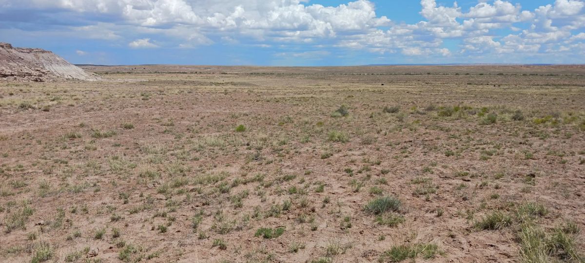 1.25 Acres in Apache County, AZ - Image 3