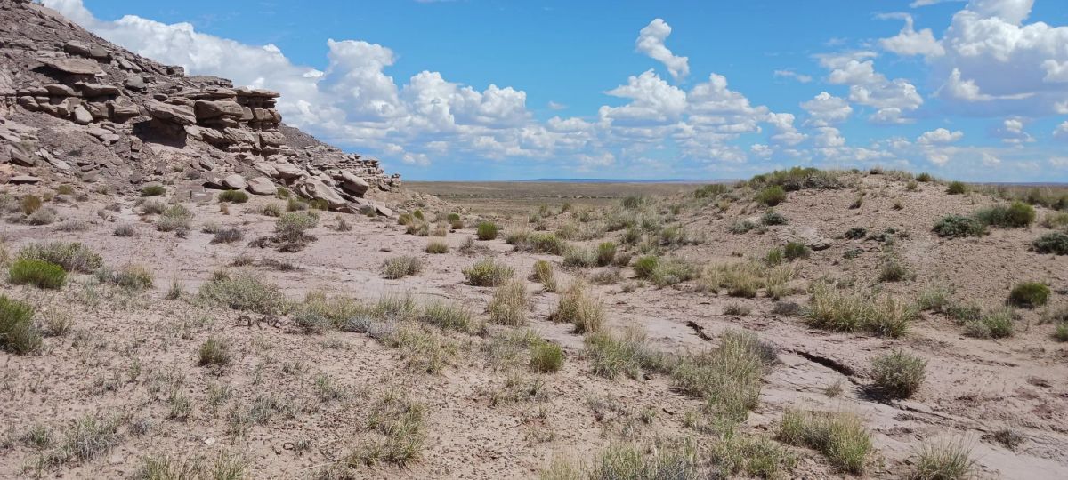 1.25 Acres in Apache County, AZ - Image 4