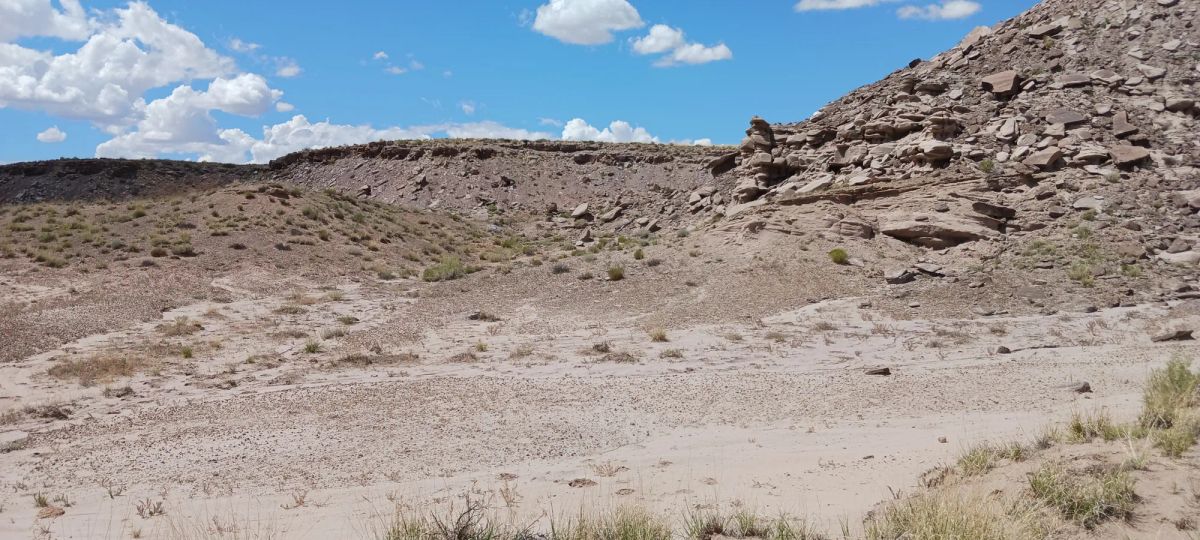 Decorative background for 1.25 Acres in Apache County, AZ image 5