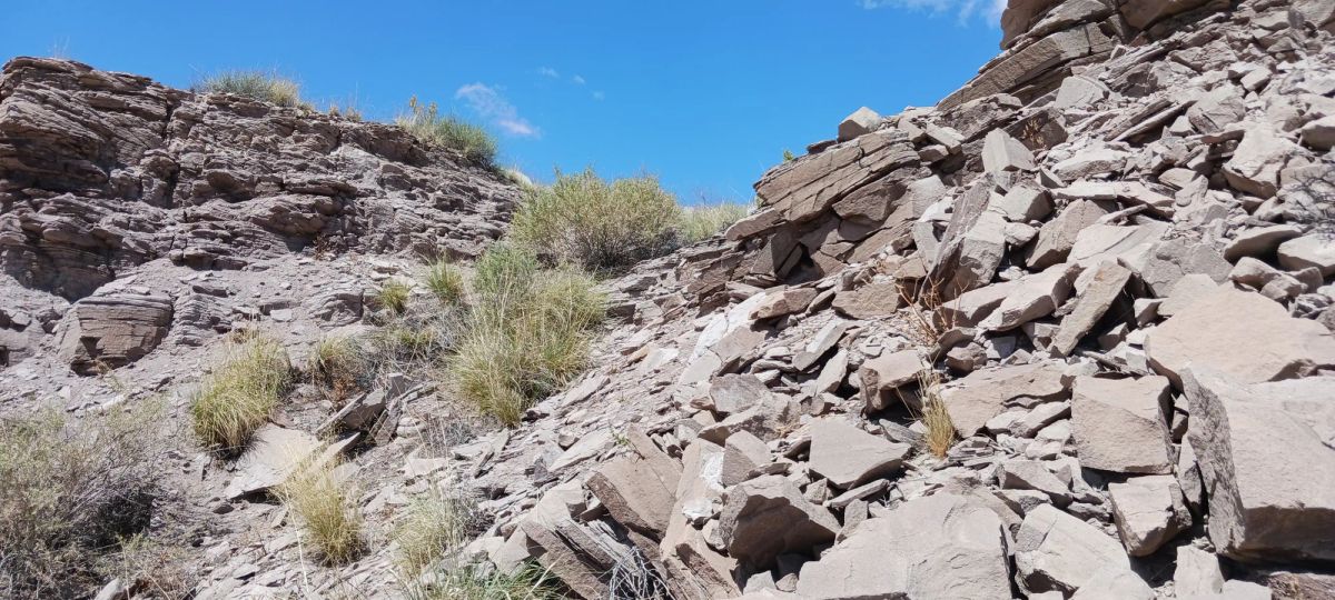 Decorative background for 1.25 Acres in Apache County, AZ image 6