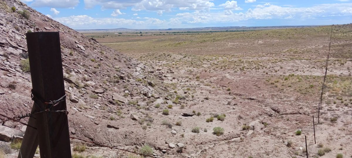 Decorative background for 1.25 Acres in Apache County, AZ image 7