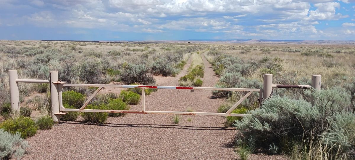 Decorative background for 1.25 Acres in Apache County, AZ image 9