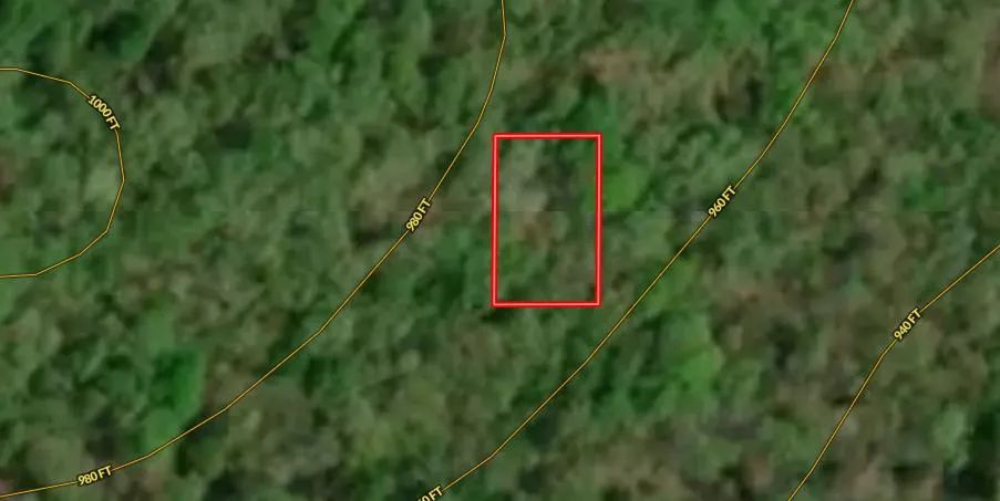 Decorative background for 0.09 Acres in Ozark County, MO image 5