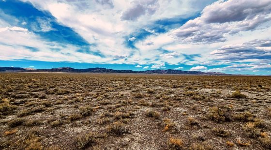20.21 Acres in Elko County, NV in Elko County, NV