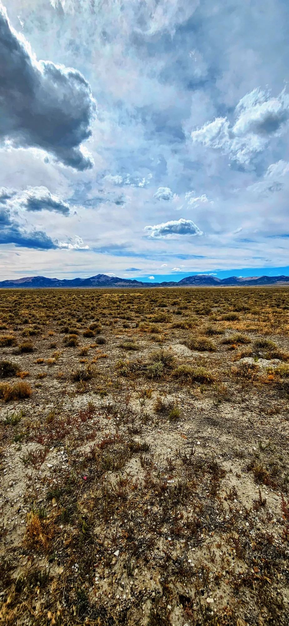 20.21 Acres in Elko County, NV in Elko County, NV