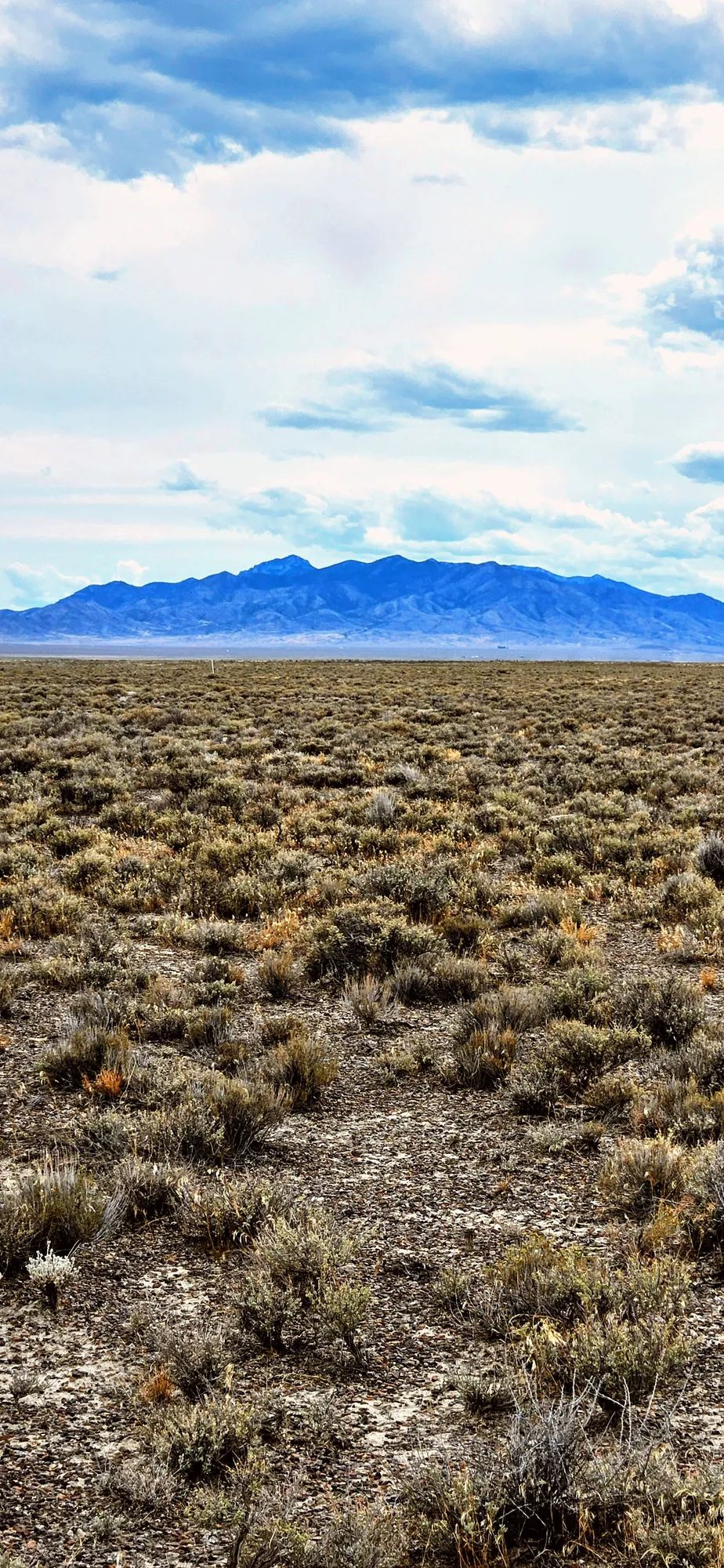 Decorative background for 20.21 Acres in Elko County, NV image 5