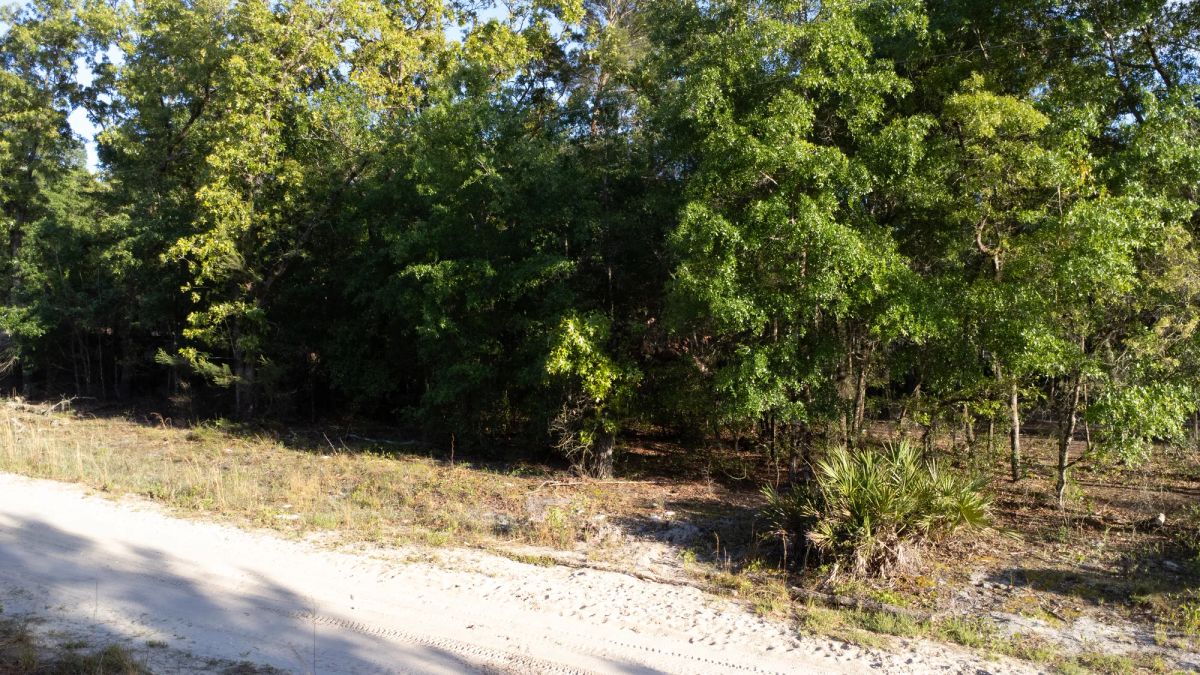 0.46 Acres in Putnam County, FL - Image 2