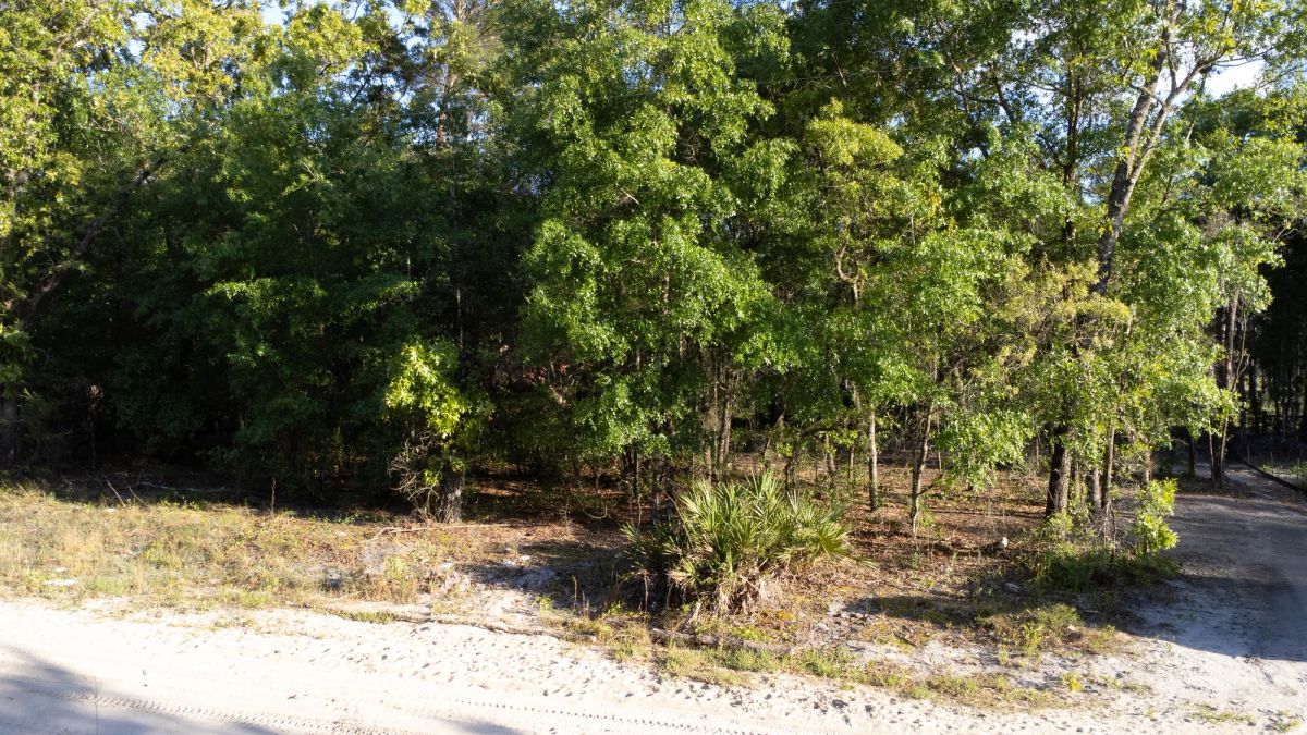 0.46 Acres in Putnam County, FL - Image 3