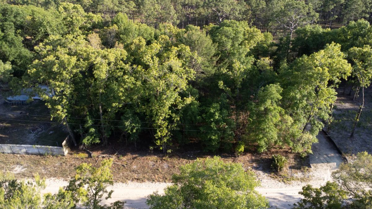 0.46 Acres in Putnam County, FL - Image 4