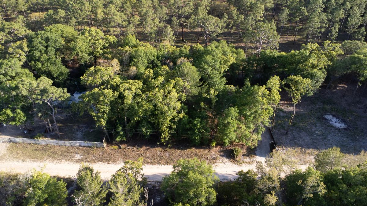 Decorative background for 0.46 Acres in Putnam County, FL image 5