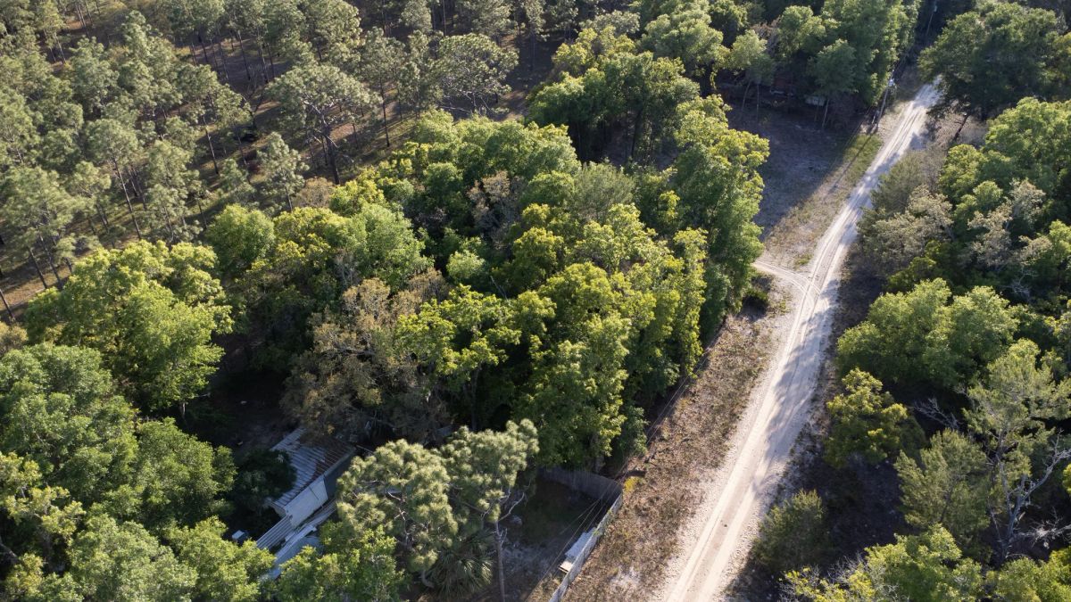 Decorative background for 0.46 Acres in Putnam County, FL image 6