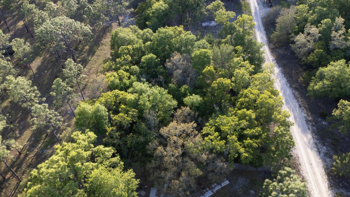 Decorative background for 0.46 Acres in Putnam County, FL image 7