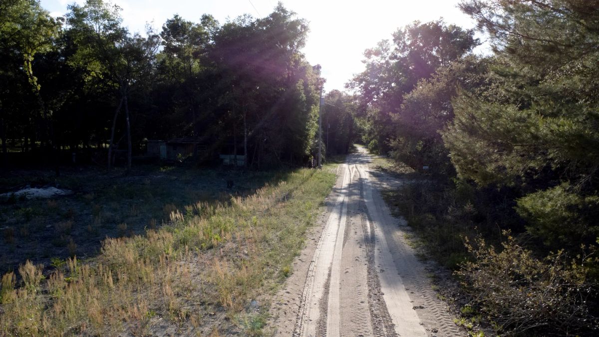 Decorative background for 0.46 Acres in Putnam County, FL image 9