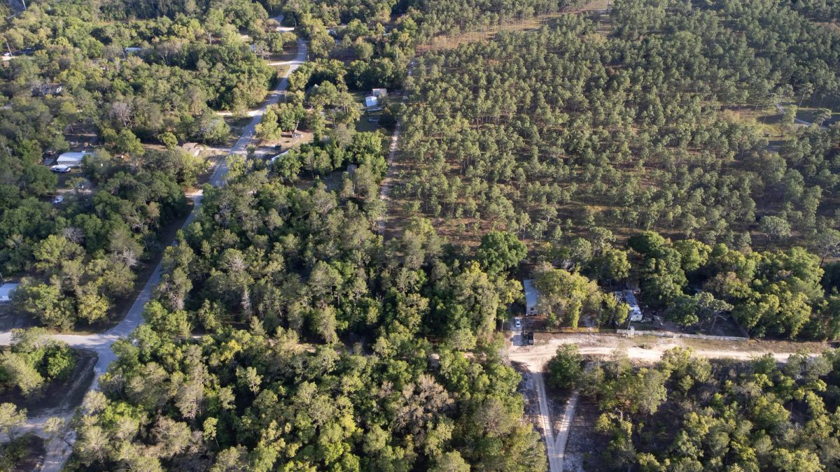Decorative background for 0.46 Acres in Putnam County, FL image 10