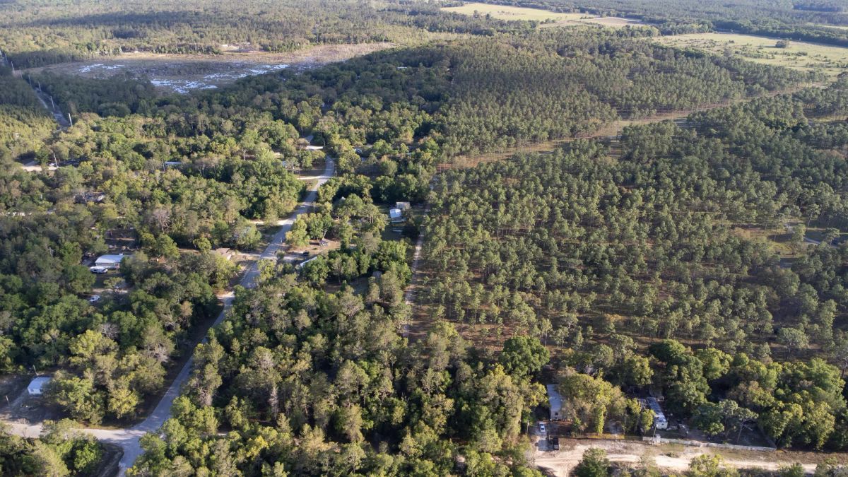 Decorative background for 0.46 Acres in Putnam County, FL image 11