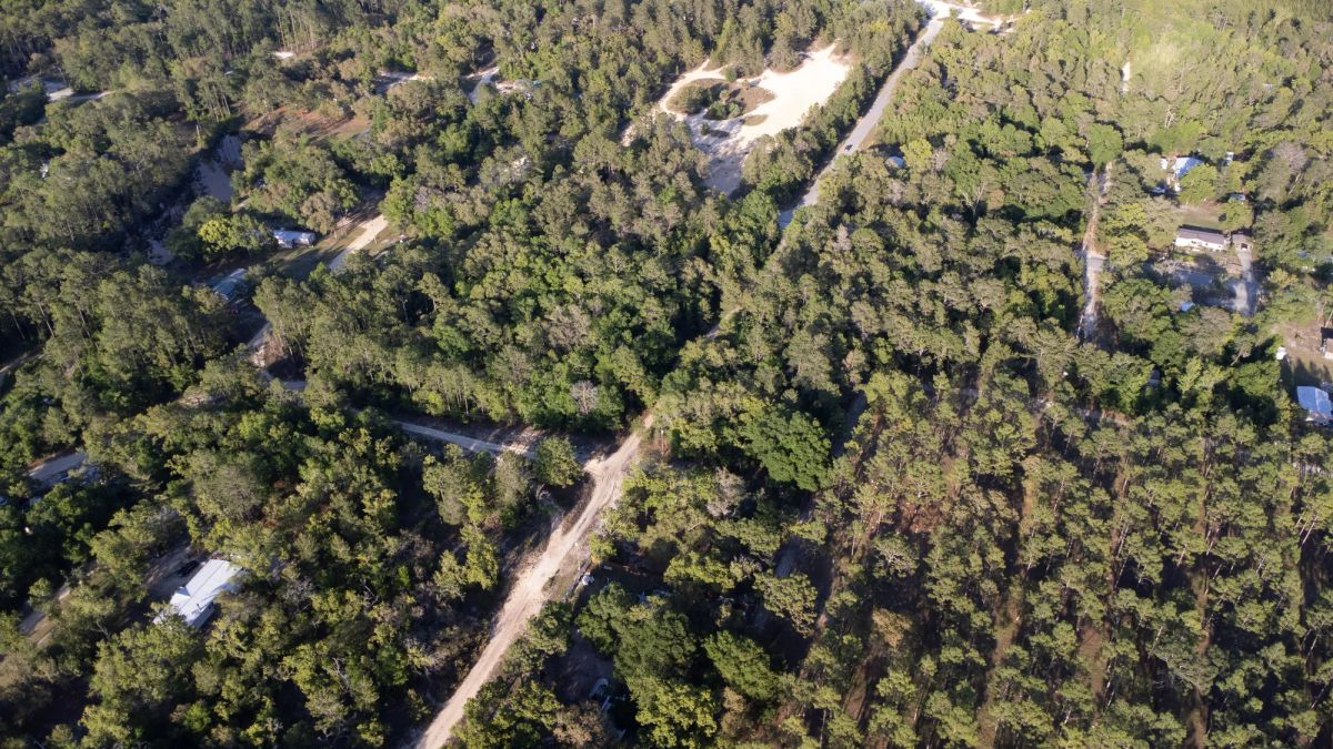 Decorative background for 0.46 Acres in Putnam County, FL image 12