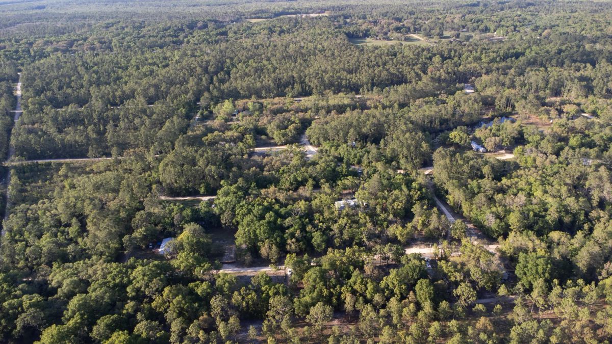 Decorative background for 0.46 Acres in Putnam County, FL image 13