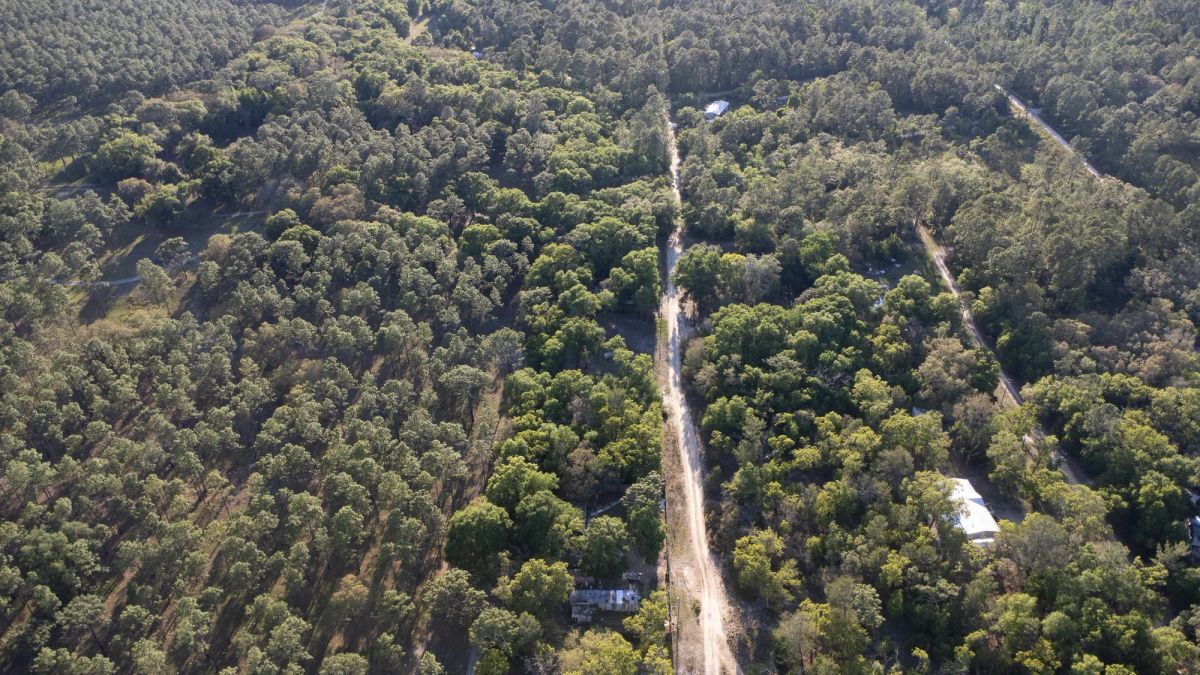 Decorative background for 0.46 Acres in Putnam County, FL image 14