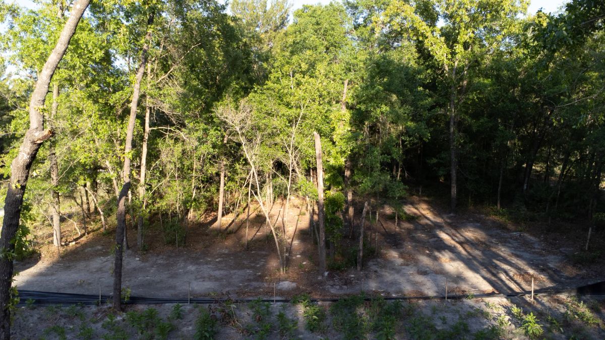 Decorative background for 0.46 Acres in Putnam County, FL image 16