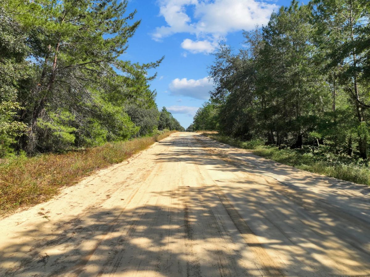 0.22 Acres in Putnam County, FL - Main image