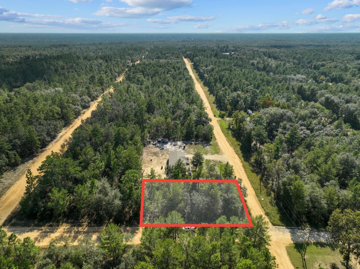 Decorative background for 0.22 Acres in Putnam County, FL image 5