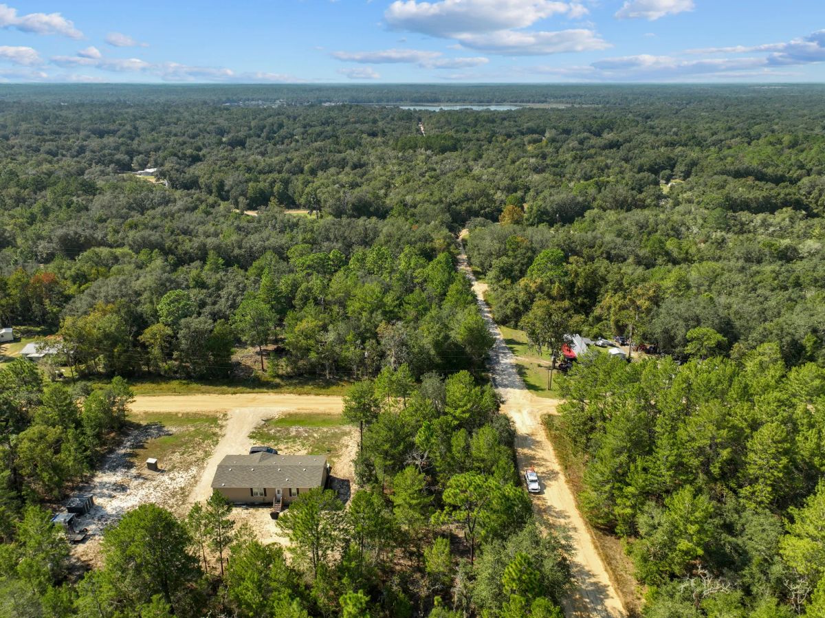 Decorative background for 0.22 Acres in Putnam County, FL image 6