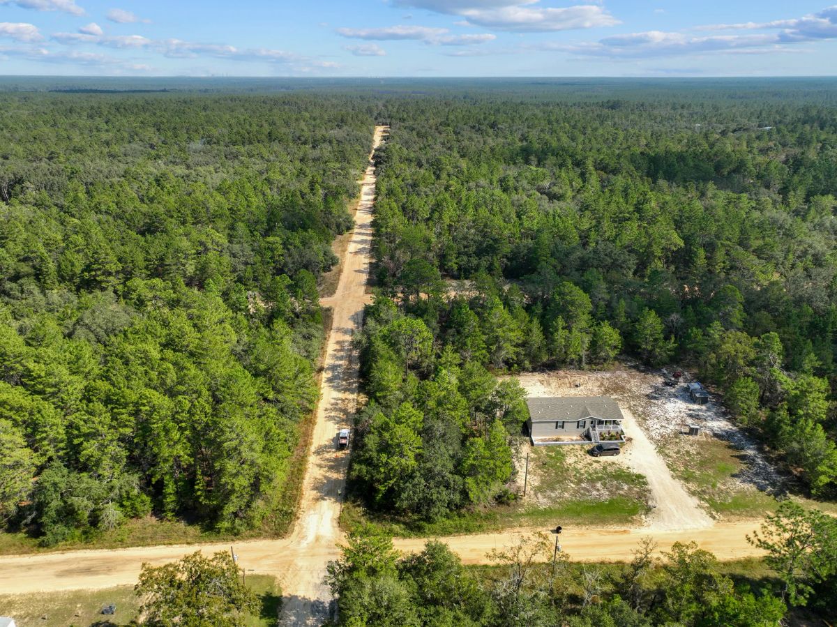 Decorative background for 0.22 Acres in Putnam County, FL image 9