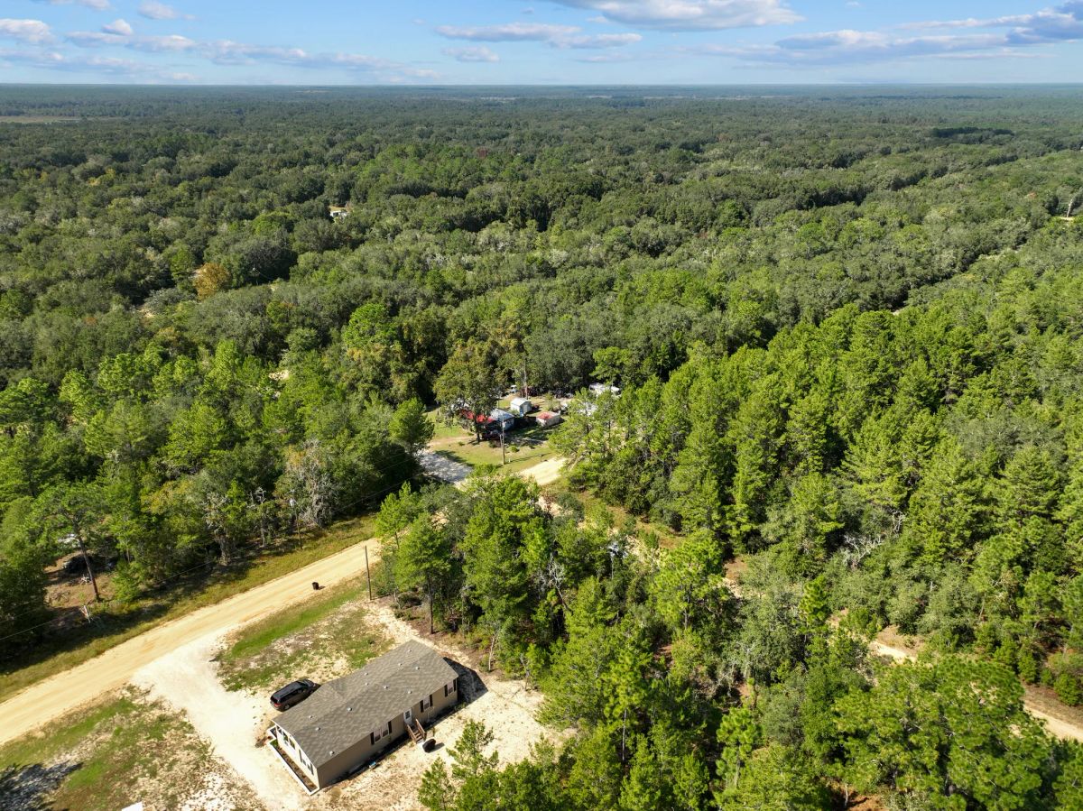 Decorative background for 0.22 Acres in Putnam County, FL image 10