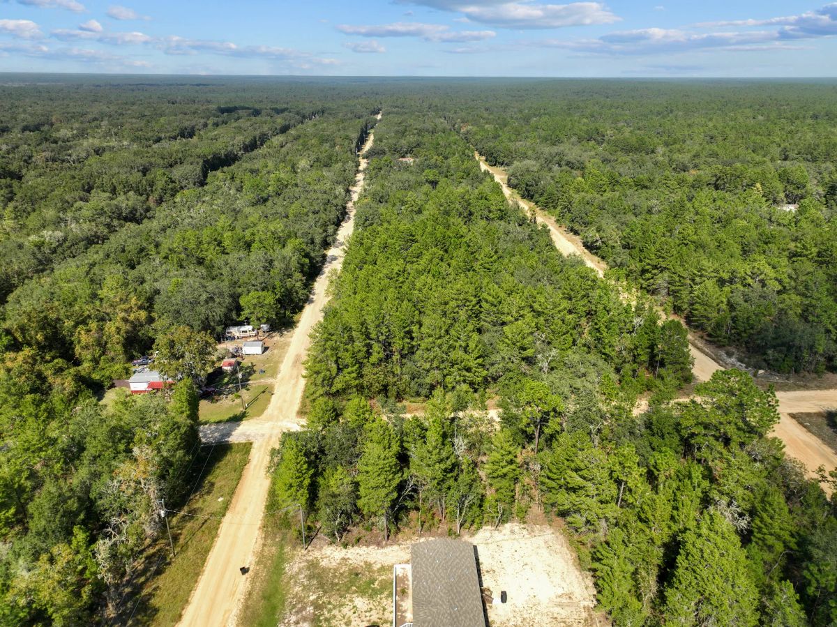 Decorative background for 0.22 Acres in Putnam County, FL image 11