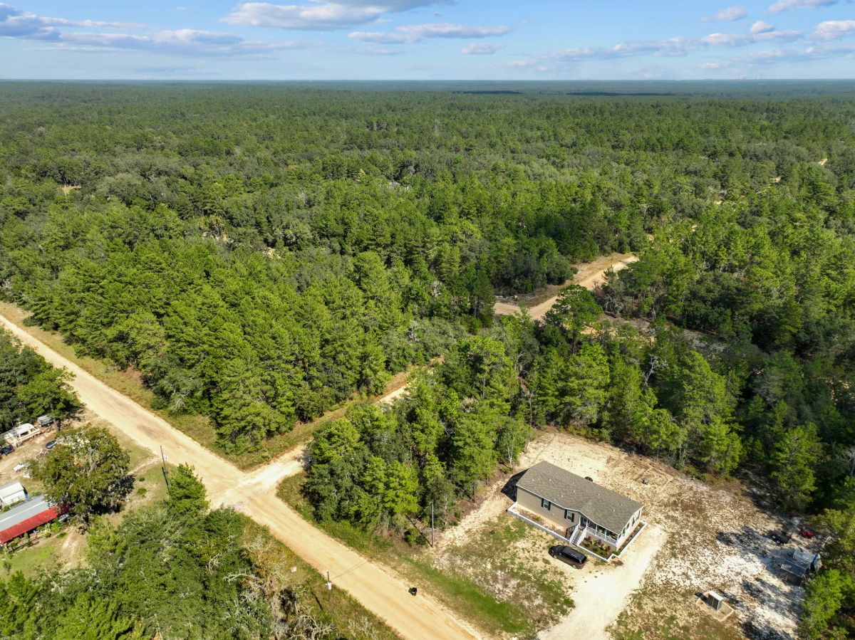 Decorative background for 0.22 Acres in Putnam County, FL image 12