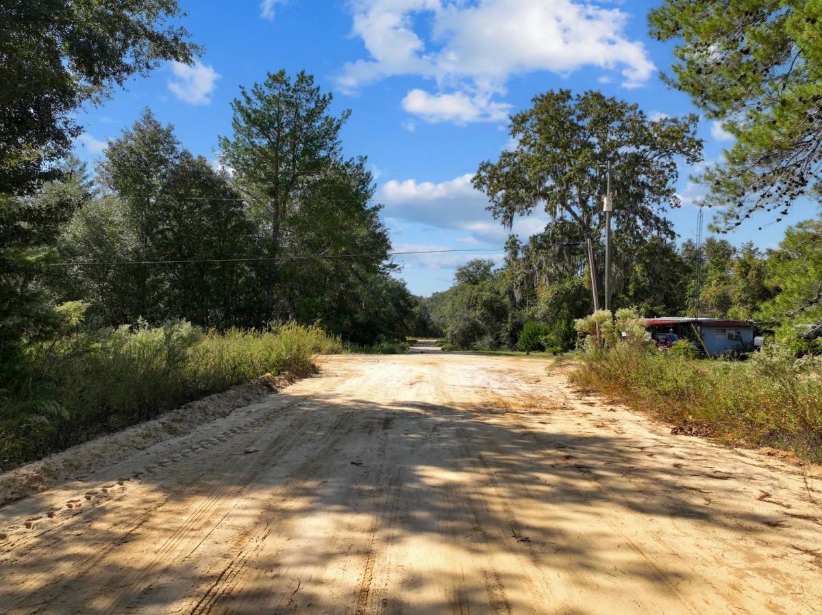 Decorative background for 0.22 Acres in Putnam County, FL image 14