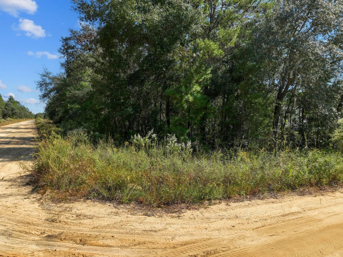 Decorative background for 0.22 Acres in Putnam County, FL image 7