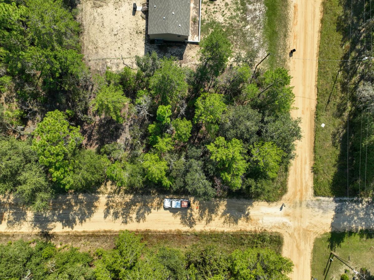 Decorative background for 0.22 Acres in Putnam County, FL image 13