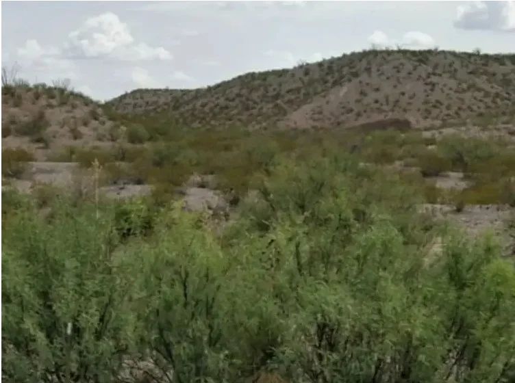 28.75 Acres of Unrestricted Land in Presidio, Texas - Image 2