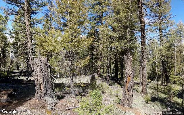 0.56 Acres in Florissant - Teller County, CO in Teller County, CO