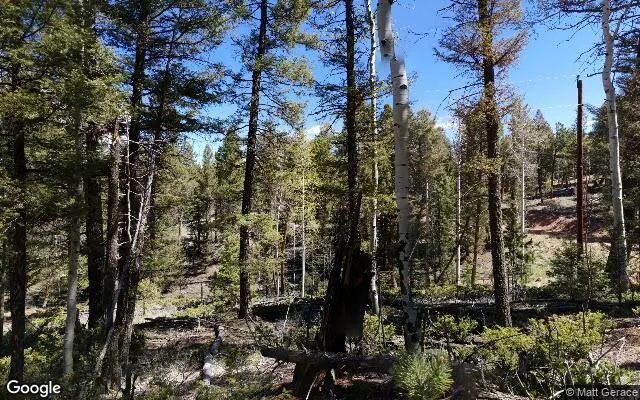 Decorative background for 0.56 Acres in Florissant - Teller County, CO image 6