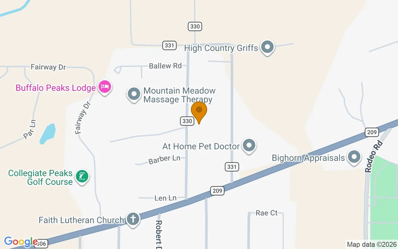 0.55 Acres in Buena Vista - Chaffee County, CO in Chaffee County, CO