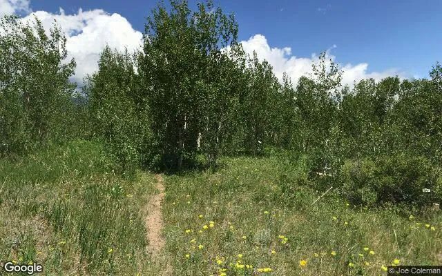 Decorative background for 3.4 Acres in Central City - Gilpin County, CO image 6