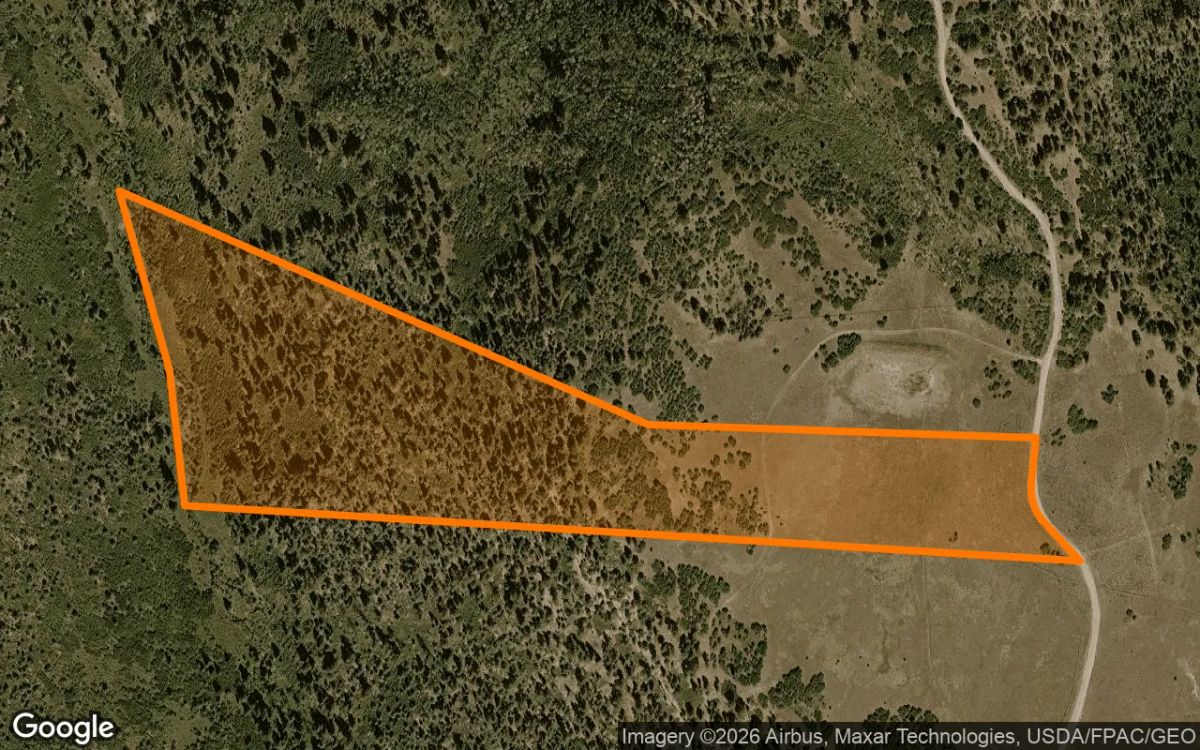 35 Acres in Placerville - San Miguel County, CO - Main image