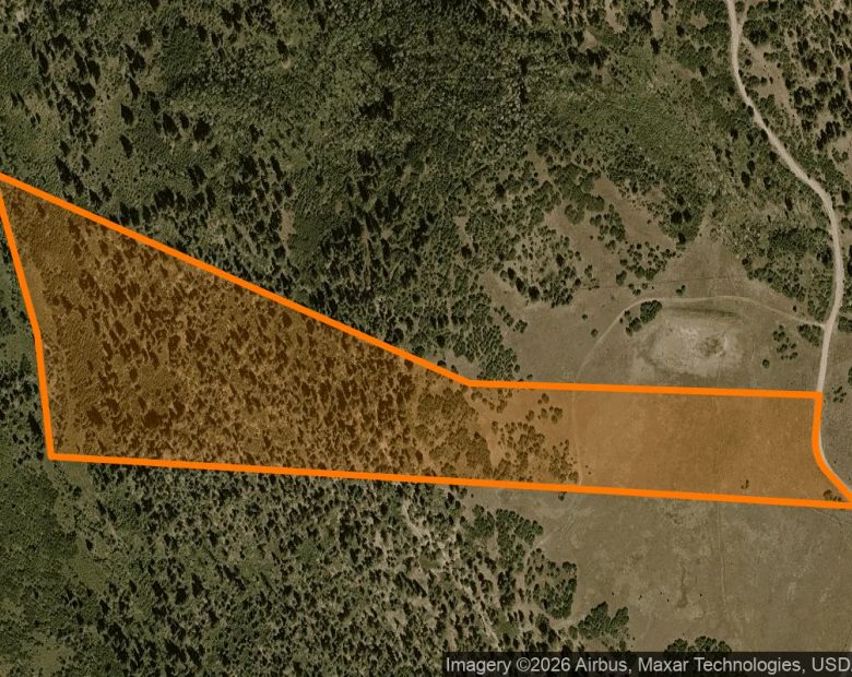 35 Acres in Placerville - San Miguel County, CO in San Miguel County, CO